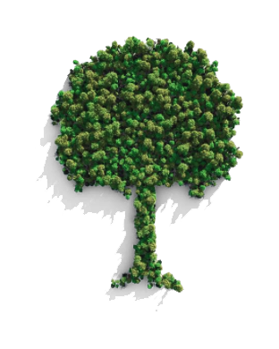 Arbor Boomkwekerij growing oxygen key visual